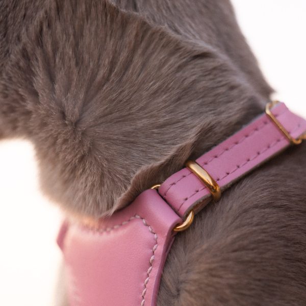 Perfectly Pink Cat Harness
