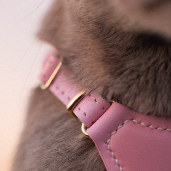 Perfectly Pink Cat Harness