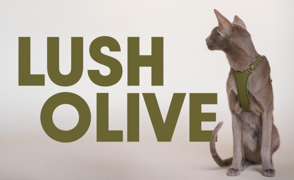 Emmas choice - Lush Olive Cat Harness