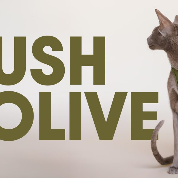 Emmas choice - Lush Olive Cat Harness