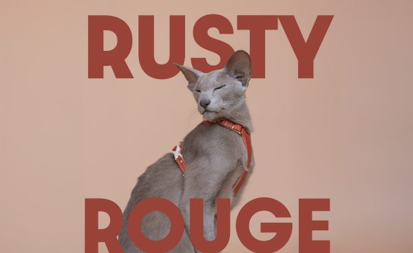 Emmas choice - Rusty Rouge Cat Harness