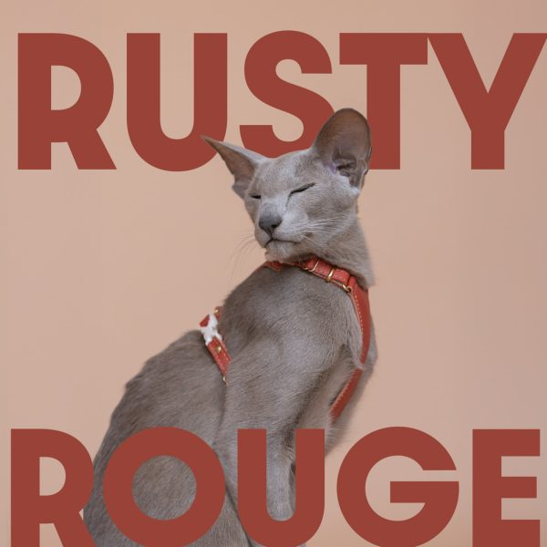 Emmas choice - Rusty Rouge Cat Harness