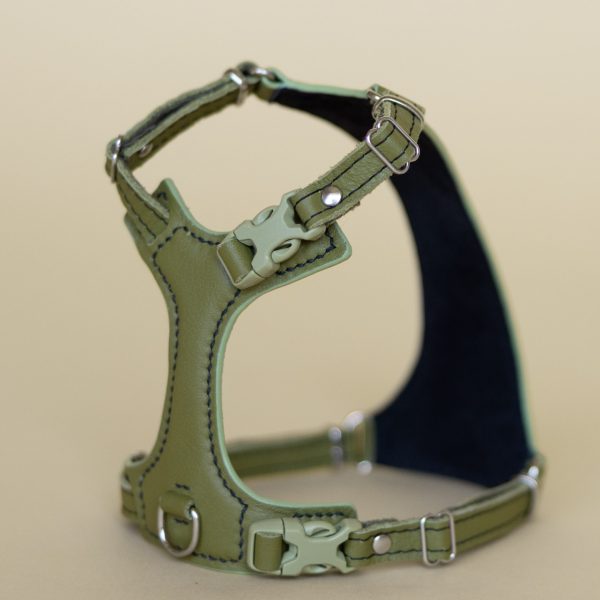 Lush Olive Cat Harness - Emma's choice - Image 2