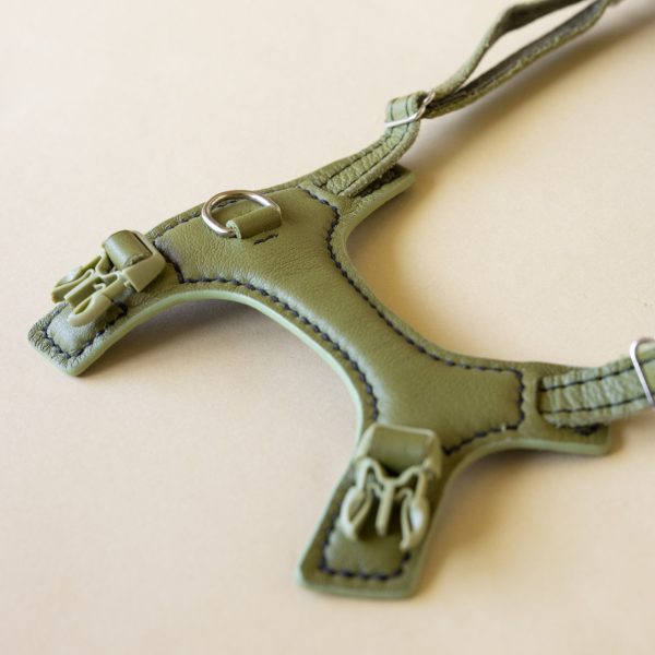Lush Olive Cat Harness - Emma's choice - Image 3