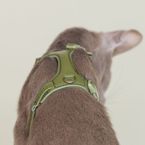 Lush Olive Cat Harness - Emma's choice - Image 8