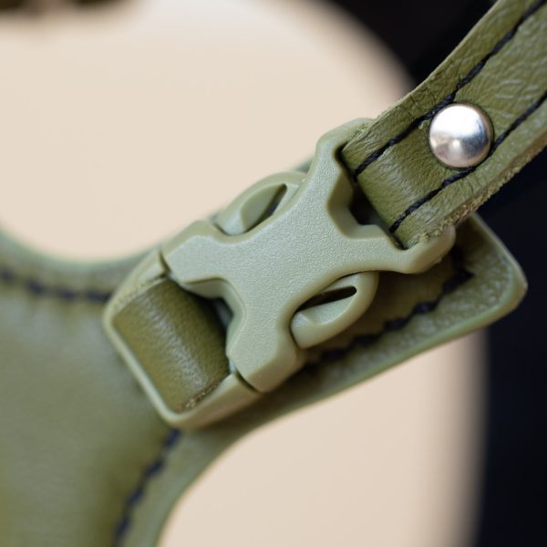 Lush Olive Cat Harness - Emma's choice - Image 4