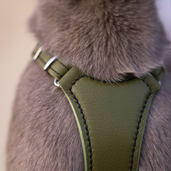 Lush Olive Cat Harness - Emma's choice - Image 9