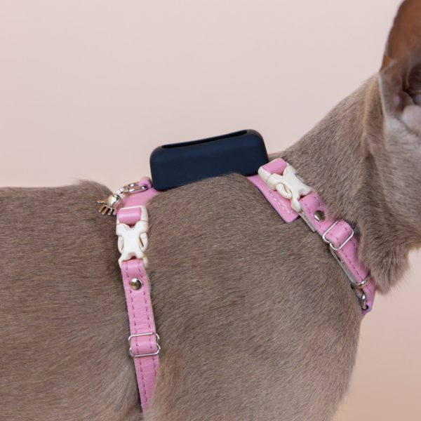 Cat Harness compatible with 'Tractive CAT Mini Tracker' - Image 2