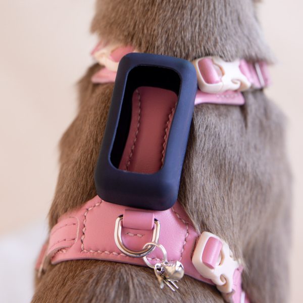 Cat Harness compatible with 'Tractive CAT Mini Tracker' - Image 5