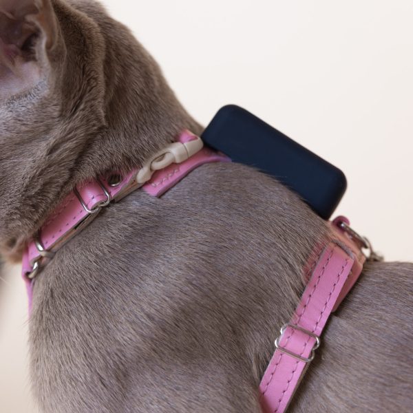 Cat Harness compatible with 'Tractive CAT Mini Tracker' - Image 7