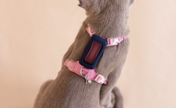 Cat Harness compatible with 'Tractive CAT Mini Tracker'