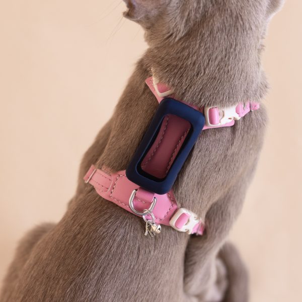 Cat Harness compatible with 'Tractive CAT Mini Tracker'