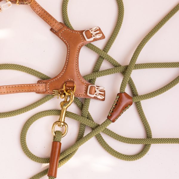 The Ease Leash - Image 5