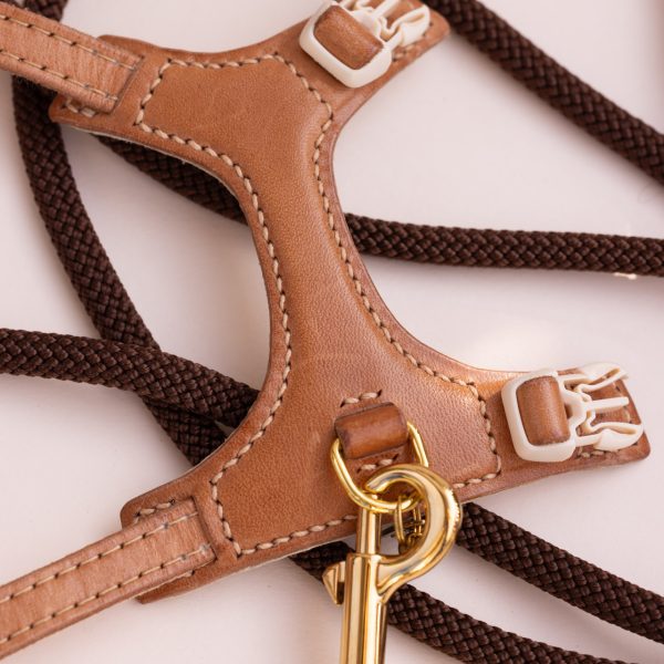 The Ease Leash - Image 6