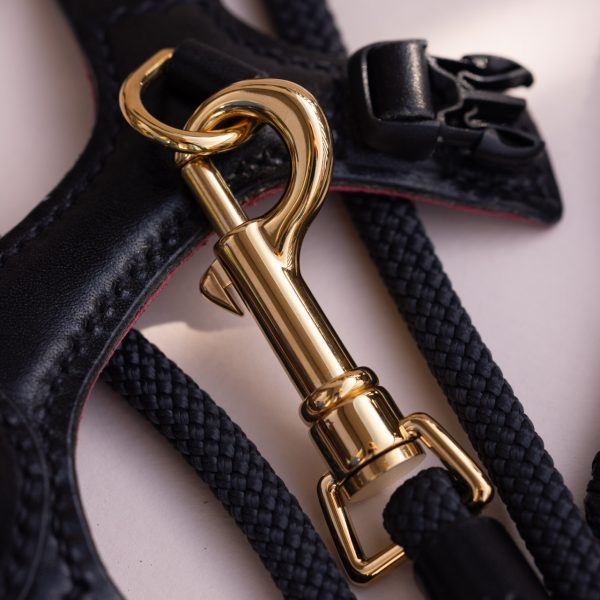 The Ease Leash - Image 8