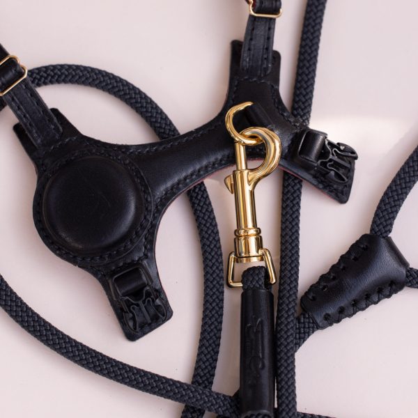 The Ease Leash - Image 7