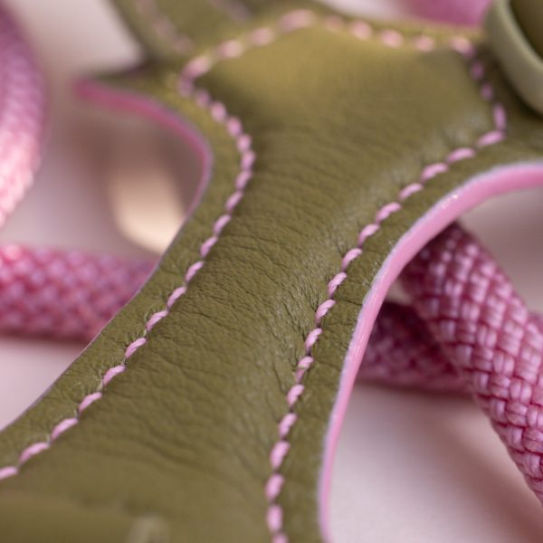 The Ease Leash - Image 10